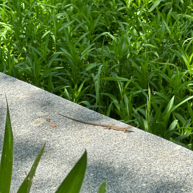 서울에서 1시간반! 1000여 종류의 다양한 식물이 있는 곳💚