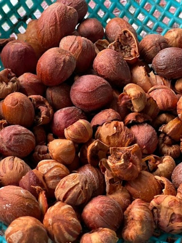 Nutmeg Factory