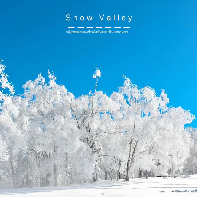 Snow valley สวยมากก