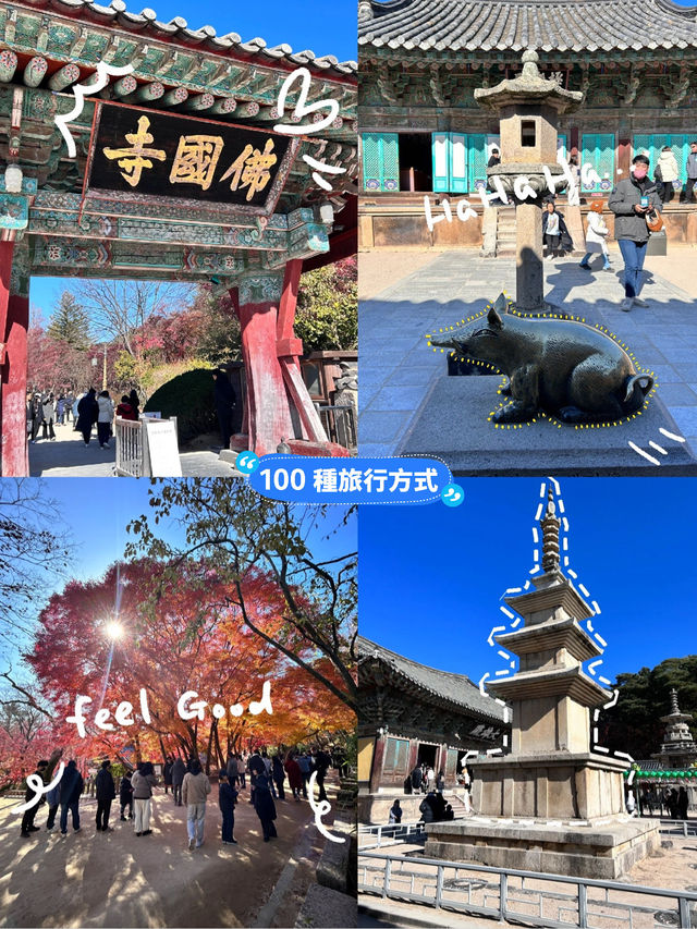 🇰🇷慶洲✈️世界文化遺產「佛國寺불국사」🍁