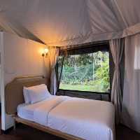 The most luxurious glamping with Jaccuzi 