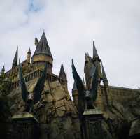 Magical Moments at Hogwarts: Butterbeer, Thrills, and Wizarding Wonders!