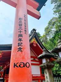 Day spent at a beautiful place Fushimi Inari Taisha🫶