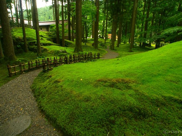 【石川県】日本有数の苔の絶景！「日用苔の里」