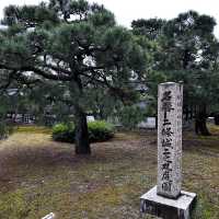  二條城（Nijo Castle）：京都的歷史瑰寶