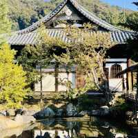 Discover Serenity at Kennin-ji Temple, Kyoto