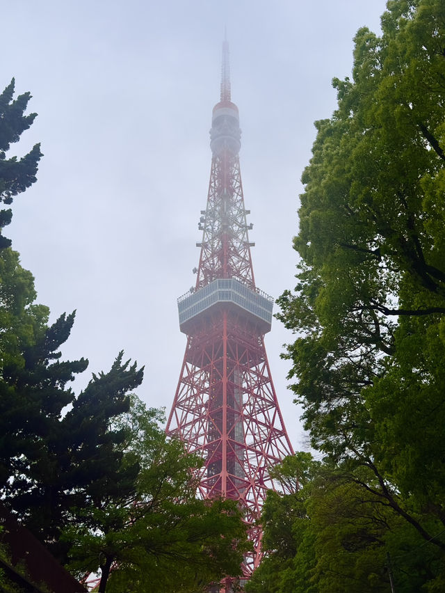 Iconic Views from Tokyo Tower: A Must-See Landmark