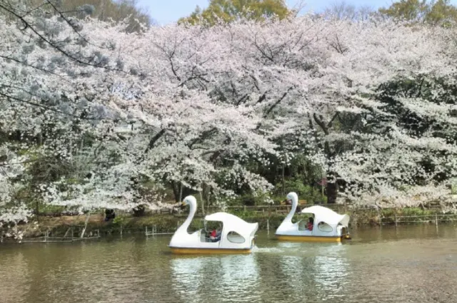 井之頭恩賜公園