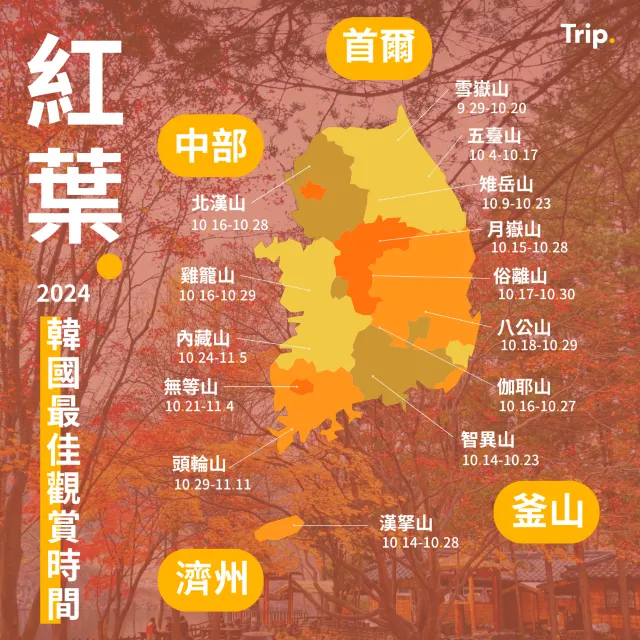 韓國紅葉 2024