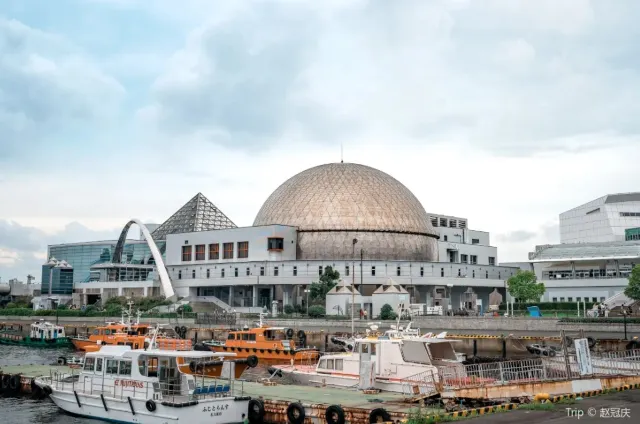 名古屋港水族館