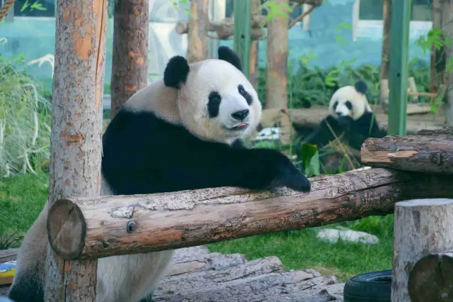 大連森林動物園