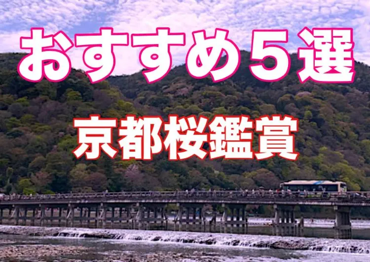 京都の桜名所：京都桜観光絶対に外せない　　おすすめ５選