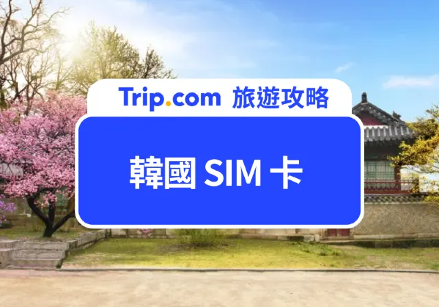 韓國 SIM 卡