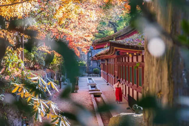 일본 가을 여행 후쿠오카