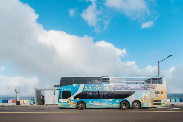 제주도 렌터카, 제주 공항 렌터카, 제주 버스