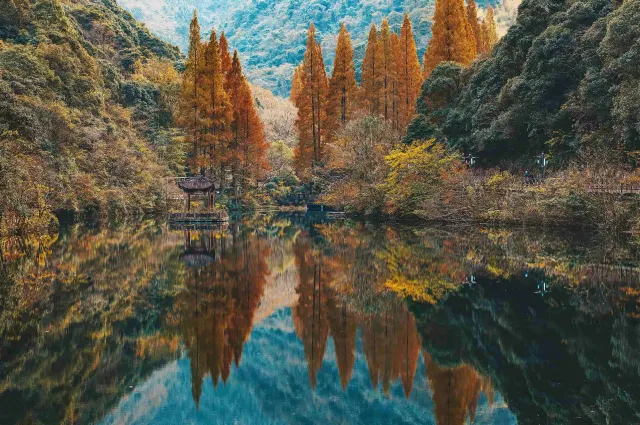 Ninghai Forest Hot Spring