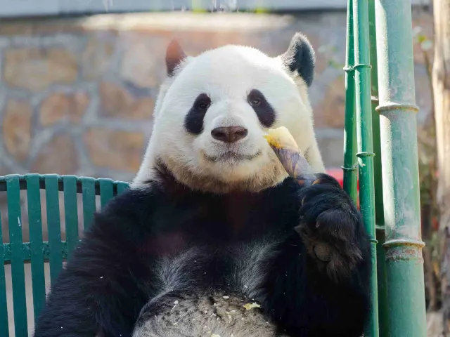 北京動物園