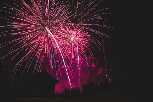 Los Angeles Fireworks Show