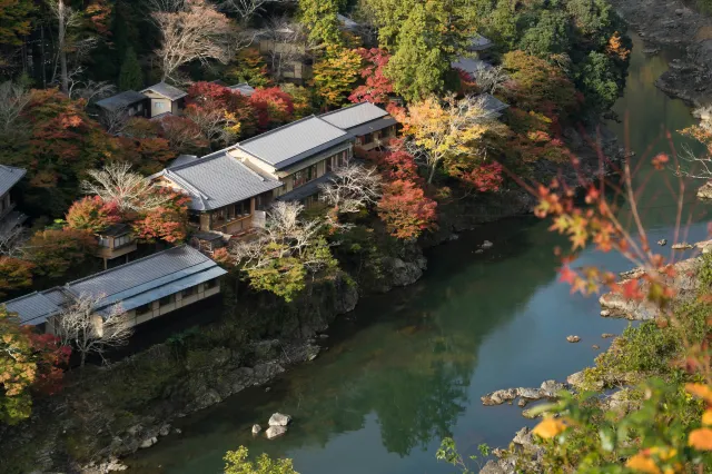 京都楓葉