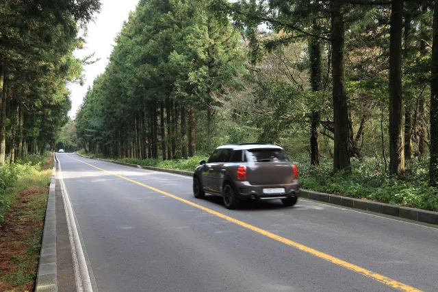 제주도 렌터카, 제주 공항 렌터카