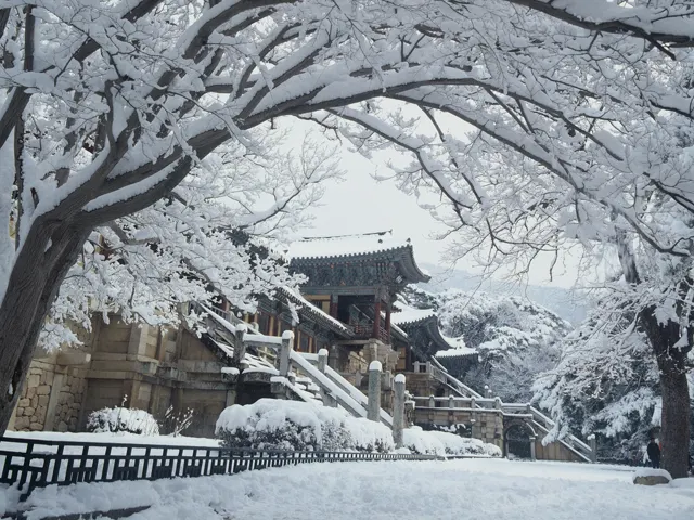 겨울 여행, 경주 불국사