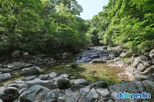 서울 근교 계곡 추천 백운 계곡