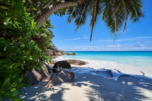 Spiaggia di sabbia bianca, rocce e alberi su un'isola delle Seychelles