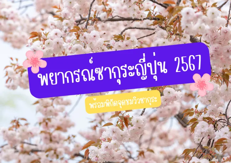 อัพเดท พยากรณ์ซากุระญี่ปุ่น2567 พร้อมพิกัดจุดชมซากุระ