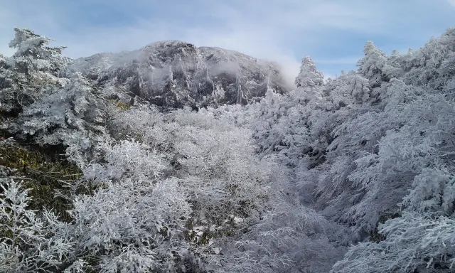 겨울 여행지