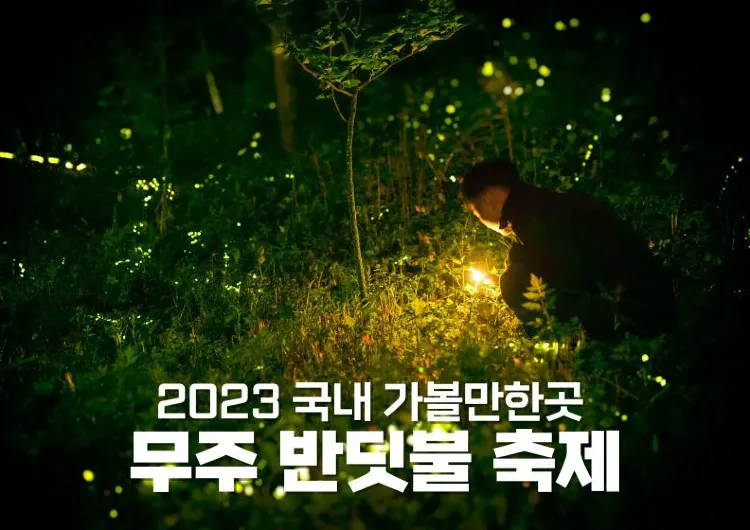 2024 무주 반딧불 축제에 관한 모든 것! 