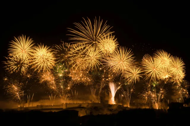 Los Angeles Fireworks Show