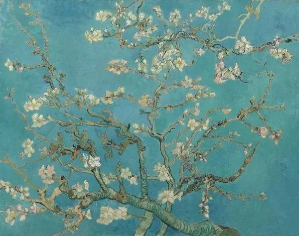 Van Gogh Museum's must-see collection