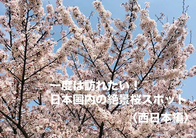 《2024年》一度は訪れたい！日本国内の絶景桜スポット〈西日本編〉