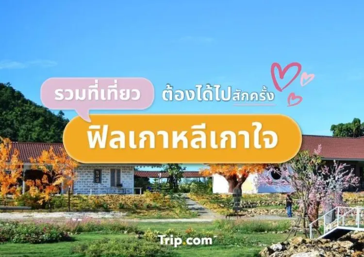 รวมที่เที่ยวเกาหลีเกาใจ ต้องได้ไปสักครั้ง 2566 สายเกาถูกใจ สายเที่ยวต้องชอบ