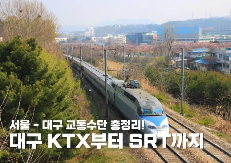 대구 KTX부터 SRT까지! 서울 - 대구 교통수단 총정리!