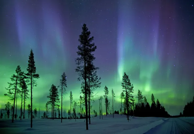 Global Guide to Viewing Auroras