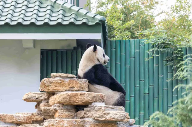 濟南動物園