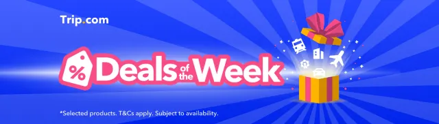 Deals of the Week | Flight & Train Deals