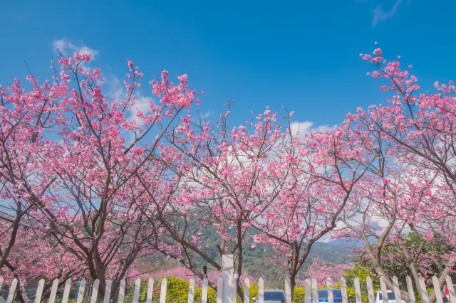 台北景點陽明山國家公園