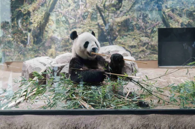 上野動物園