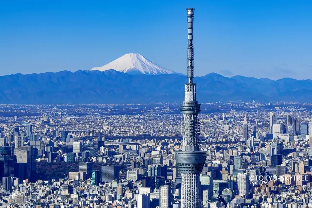 東京自由行景點 東京晴空塔