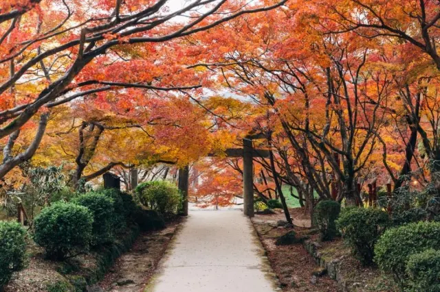 일본 가을 여행 카마도 신사