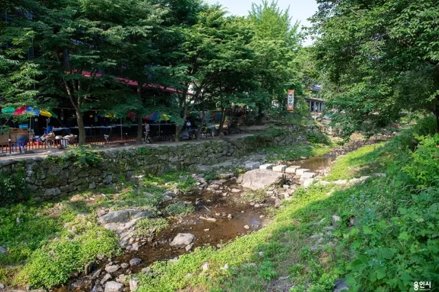 서울 근교 계곡 추천 고기리 계곡