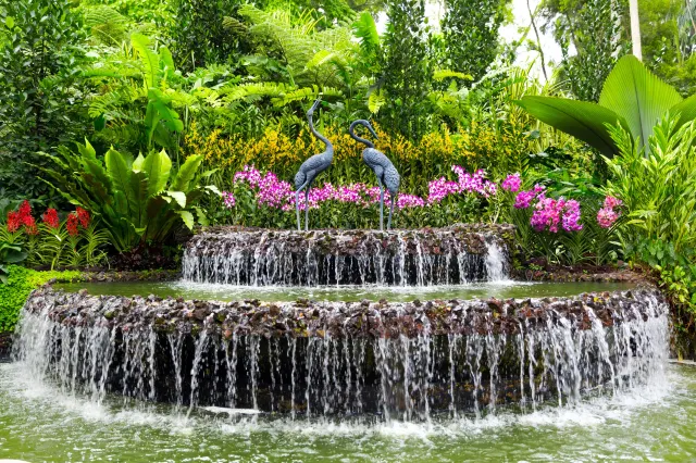 新加坡植物園