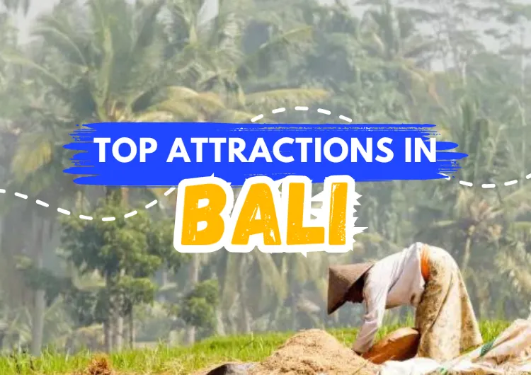 Top Attractions in Bali