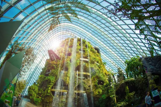 Things to do at Gardens by the Bay