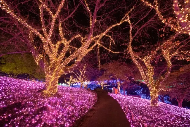 相模湖森林遊樂園