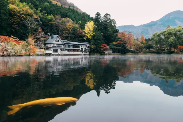 일본 가을 여행 후쿠오카 유후인