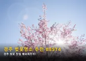 2025 경주 벚꽃 개화시기와 벚꽃명소 추천 BEST4