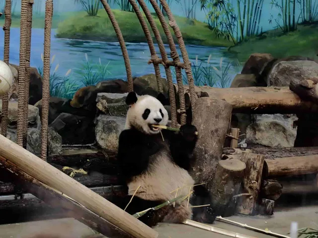 杭州動物園